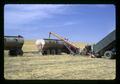 Transfering barley to PGG truck, Hawkins Ranch, Umatilla County, Oregon, circa 1970