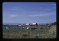 Holstein cattle near Medford, Oregon, 1972