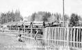 Train Load of Spruce Logs, Toldeo, Oregon