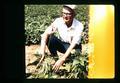 William "Tex" Frazier with bean selections, Oregon State University, Corvallis, Oregon, July 1971