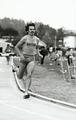 1981 steeplechase