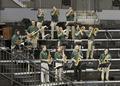 Green Garter Band, 2013