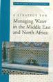 A Strategy for Managing Water in the Middle East and North Africa