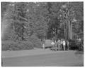 Examining a historical marker at Camp Tamarack, May 1958