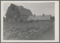 Vegetable field in front of barn