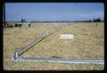 Standard side-roll irrigation system at Irrigation Fair, Jackson Farm, Corvallis, Oregon, 1966