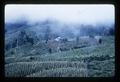 Hill tribe village, northern Thailand, 1960