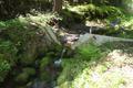 Glacier Irrigation Ditch, Middle Fork Irrigation District (Parkdale, Oregon)