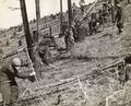 Civilian Conservation Corps men using pulaskies