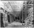 Interior of warehouse at dock, Astoria. Sacks of grain.