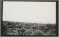 Field, Eastern Oregon, circa 1920