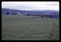 Sub clover pasture on Beckley Ranch, Douglas County, Oregon, May 1969