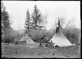 Chief No-Shirt's Camp Umatilla Reservation