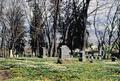 Ashland Cemetery (Ashland, Oregon)