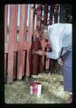 Person painting fence at BARC Activity Center, Corvallis, Oregon, circa 1973