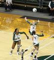 Lauren Plum, Ariana Williams & Katherine Fischer, 2011