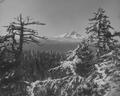 Mt. Hood in winter