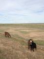 2013July_20130707DBInnerMongolia_014