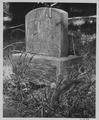 Cemetery Pioneer [15] (recto)