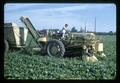 Mechanical bean harvesting at Edwards Farm, 1967