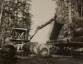 Self-loader with logs in the woods