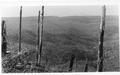 Blodgett Tract probably dated in the early 1940s.  Shows large area of burned over land that had been logged by Manary Logging Co. in the 1920's and early 1930's and burned over by the Big Creek fire in 1936.  View looks west from Blodgett Peak.