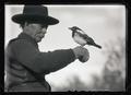 Peck holding a magpie