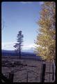 Autumn foliage near Sisters, Oregon, 1966