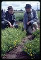 Dr. Henry H. Rampton and colleague, Corvallis, Oregon, circa 1965