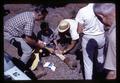 Injured Christmas tree farm worker receiving first aid, Benton County, Oregon, August 1968