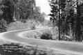 Pacific Highway on the Siskiyou Mountains