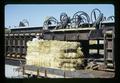 Richard L. Ferris with super density straw baler, Hastro West, Oregon, circa 1973