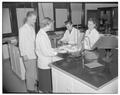 OSC students working in the new Pharmacy laboratory, November 1949