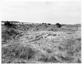 Sand dune with grass, engineer