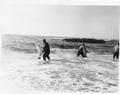 Men with nets in surf fishing for Sea Smelt