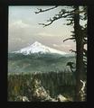 Mt. Hood from Larch Mountain