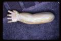 doll, 41 inches long, arms