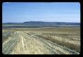 Barley stubble, Hawkins Ranch, Umatilla County, Oregon, circa 1970