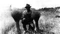 Man showing flax Clackamas County, circa 1926