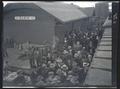 Crowd viewing elk loaded in a boxcar