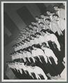 Choralaires on the steps leading into the Memorial Union Lounge, 1951-1952