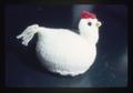 Knitted hen in George Arscott's office, Oregon State University, Corvallis, Oregon, 1973