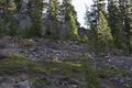 Army Corps of Engineers Road System (Crater Lake, Oregon)