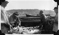 Salmon pocketed in seine