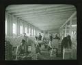 Shipping department of a salmon canning establishment, Astoria, Oregon