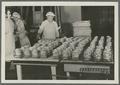 Preparing pears for canning, Rogue River Valley Canning Company