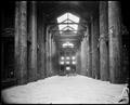 Interior of Forestry Building; main corridor with stuffed deer at end.