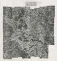 Polk County Aerial Photo Mosaic Section 4, 1955