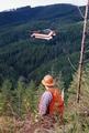 Helicopter logging