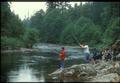 Fishing on bank of Alsea River
